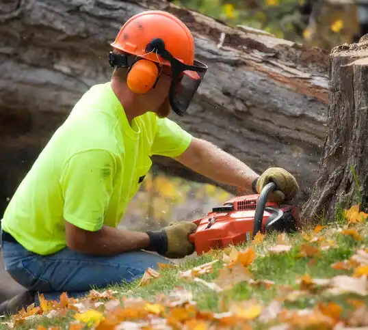 tree services Rice